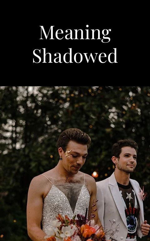 Voyeurs Meaning Shadowed Desires