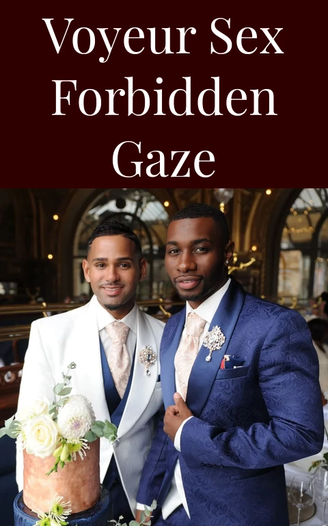 Voyeur Sex Forbidden Gaze